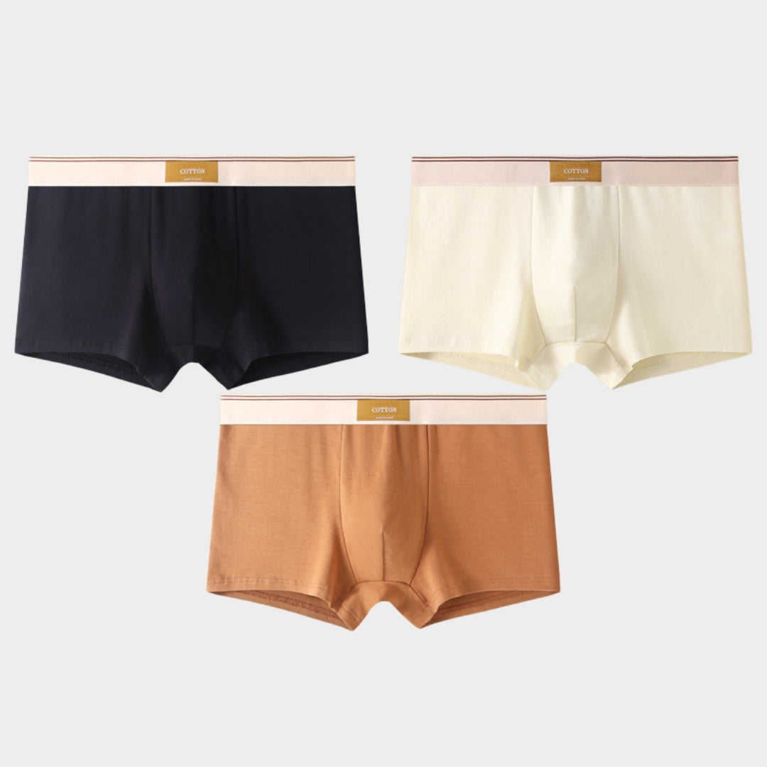 Men's Briefs - 3-Pack - 100% Cotton - Breathable & Comfortable - Soft Fit - Multiple Colour Sets