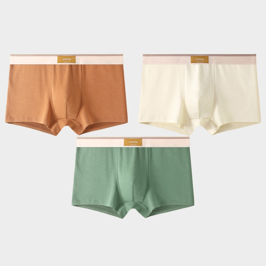 Men's Briefs - 3-Pack - 100% Cotton - Breathable & Comfortable - Soft Fit - Multiple Colour Sets