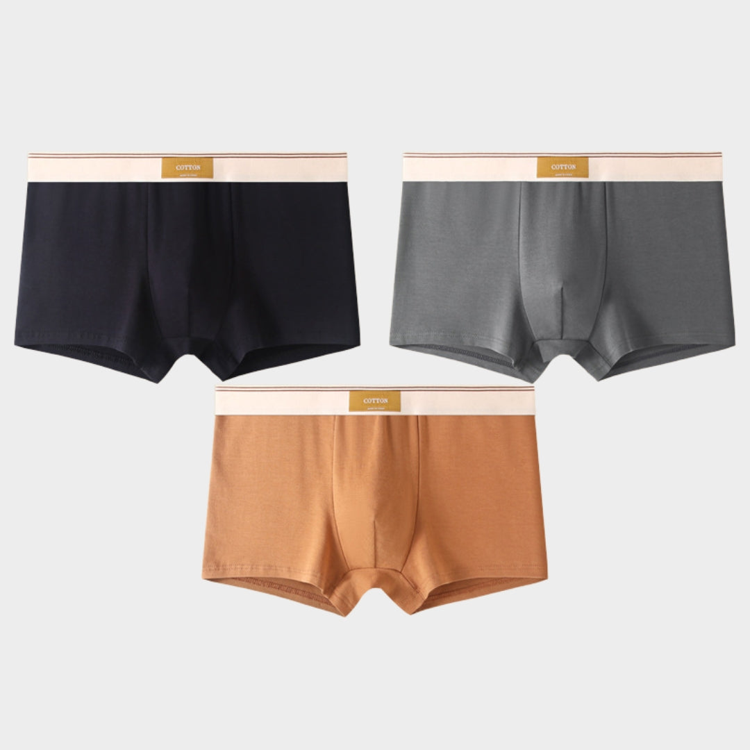 Men's Briefs - 3-Pack - 100% Cotton - Breathable & Comfortable - Soft Fit - Multiple Colour Sets