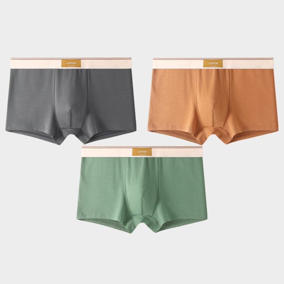 Men's Briefs - 3-Pack - 100% Cotton - Breathable & Comfortable - Soft Fit - Multiple Colour Sets