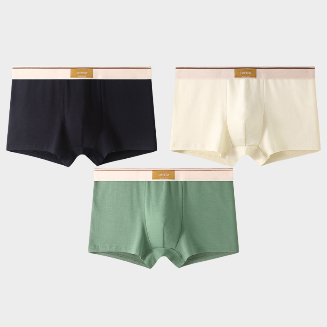 Men's Briefs - 3-Pack - 100% Cotton - Breathable & Comfortable - Soft Fit - Multiple Colour Sets