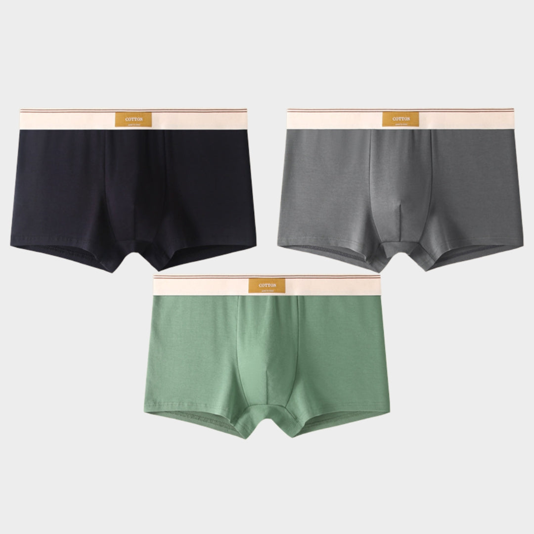 Men's Briefs - 3-Pack - 100% Cotton - Breathable & Comfortable - Soft Fit - Multiple Colour Sets