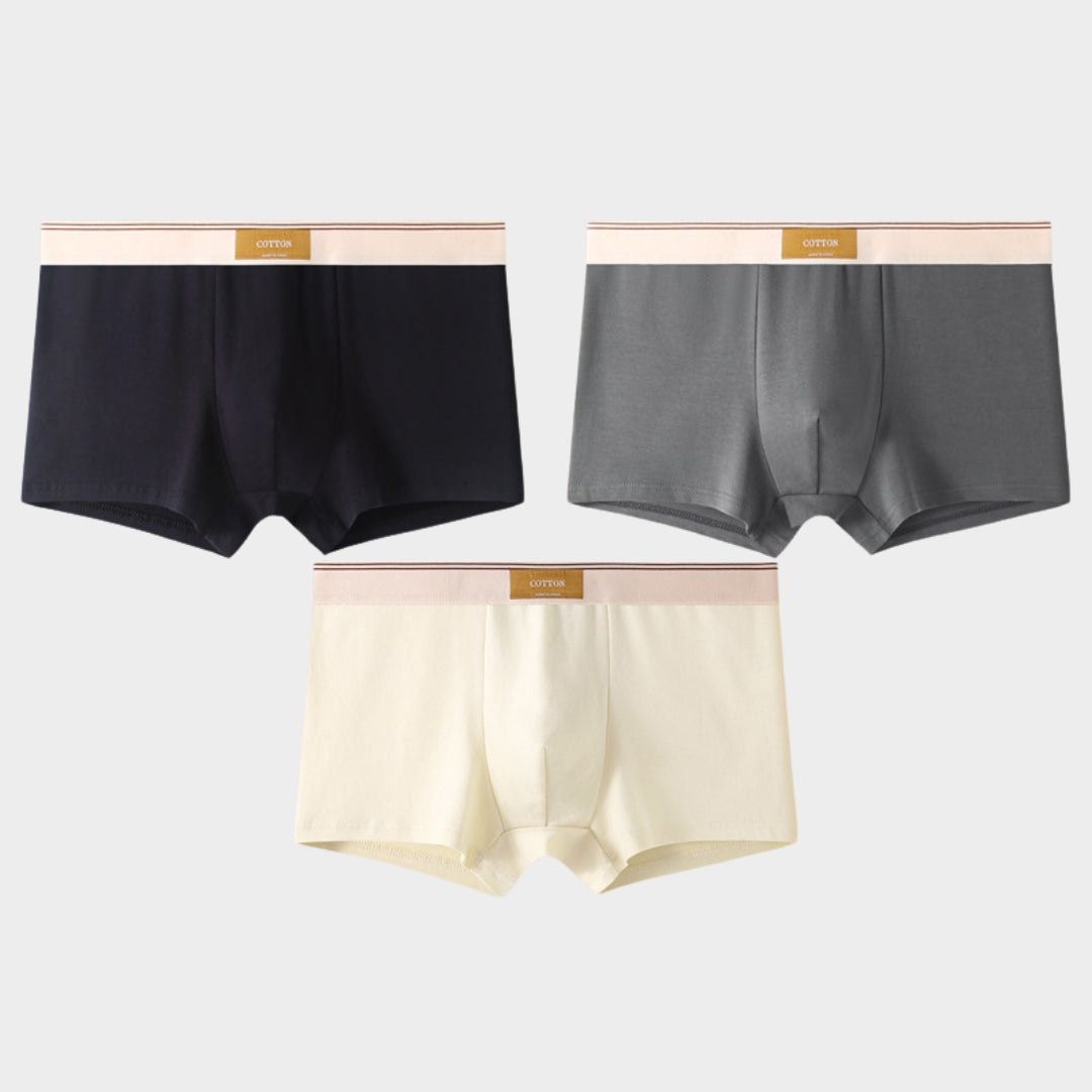 Men's Briefs - 3-Pack - 100% Cotton - Breathable & Comfortable - Soft Fit - Multiple Colour Sets