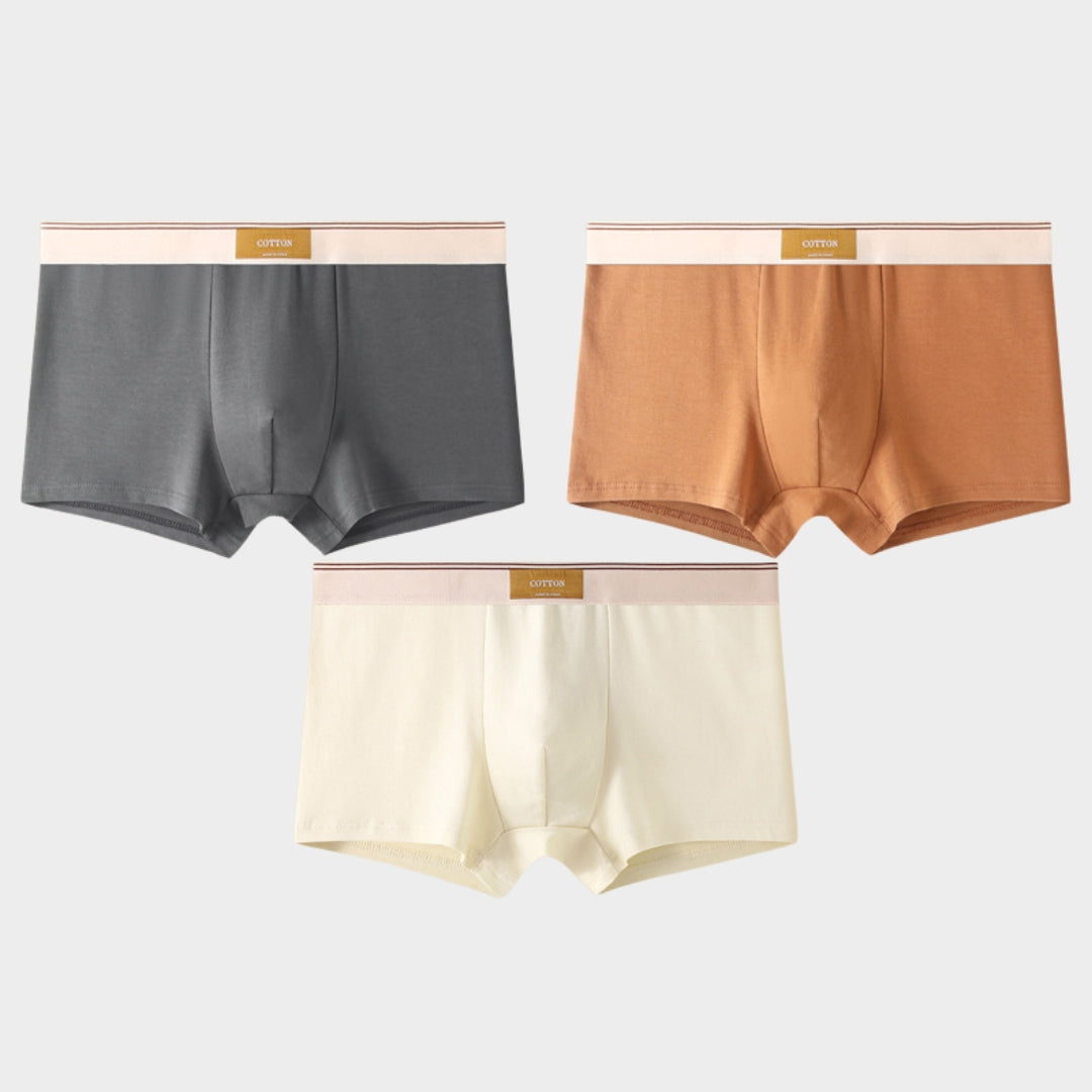 Men's Briefs - 3-Pack - 100% Cotton - Breathable & Comfortable - Soft Fit - Multiple Colour Sets