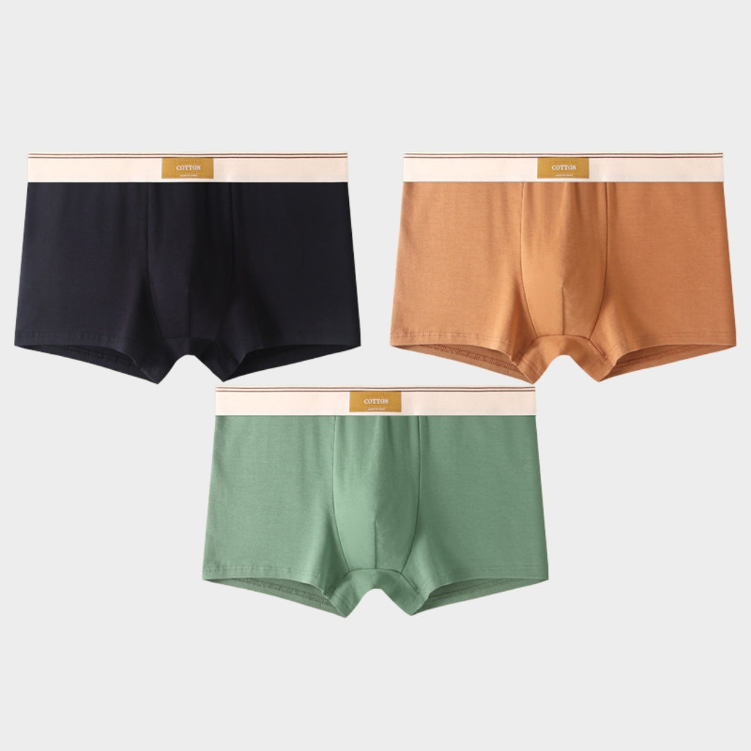 Men's Briefs - 3-Pack - 100% Cotton - Breathable & Comfortable - Soft Fit - Multiple Colour Sets