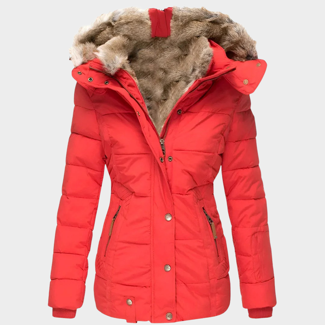 Women’s Hooded Puffer Jacket – Slim Fit Design with Insulating Padding and Modern Winter Style – Multiple Colours